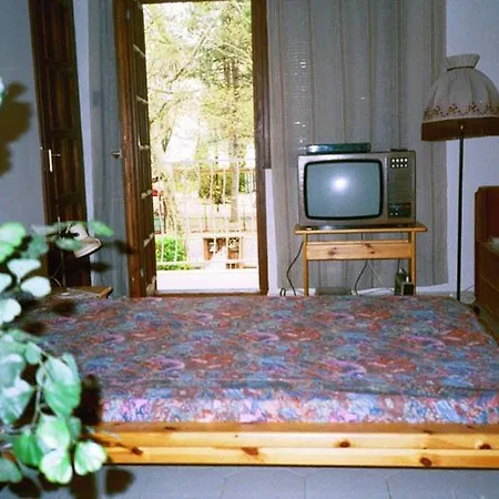 Sunflower Apartment *
